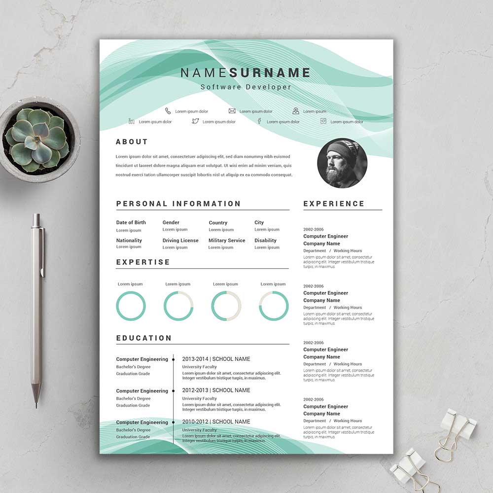 Custom Cv Maker Cv Creator